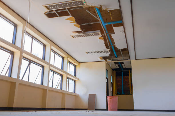 Best Ceiling water damage repair  in Alma, AR