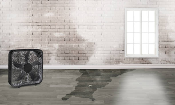 Best 24/7 water damage repair  in Alma, AR