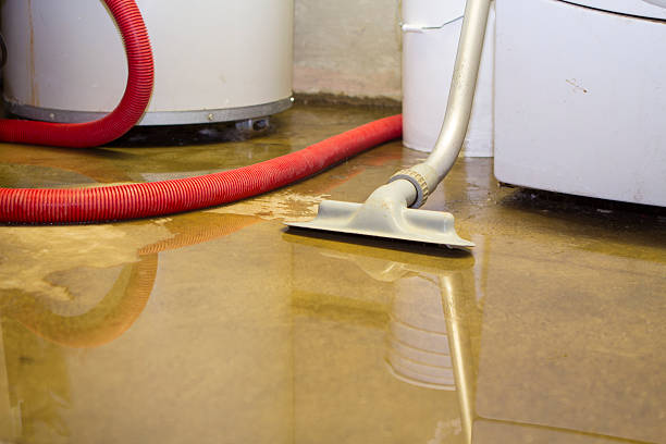 Best Local water damage restoration  in Alma, AR