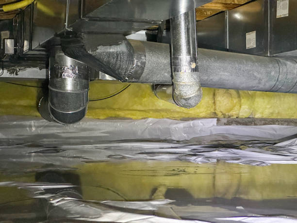 Best Mold removal after water damage  in Alma, AR