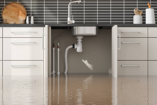 Best Flooded house restoration  in Alma, AR