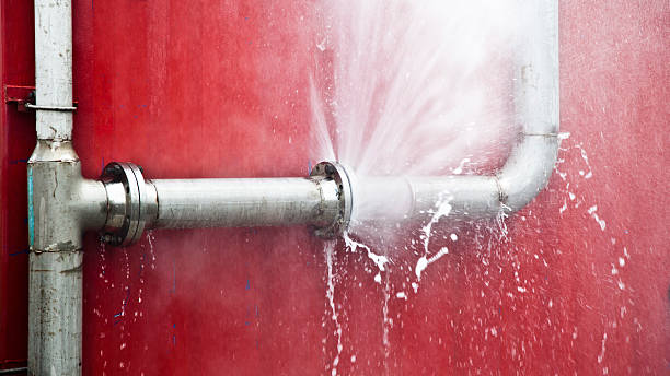Best Basement water damage restoration  in Alma, AR
