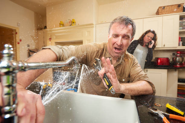 Best Professional water damage repair  in Alma, AR